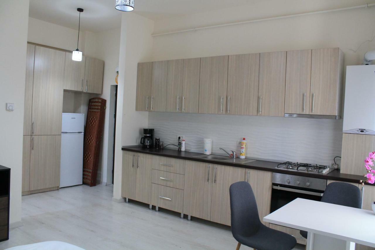 Apartment Visaj Timisoara